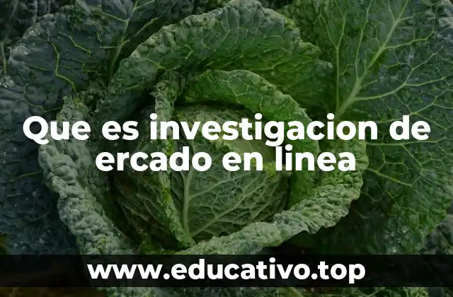 Que es investigacion de ercado en linea