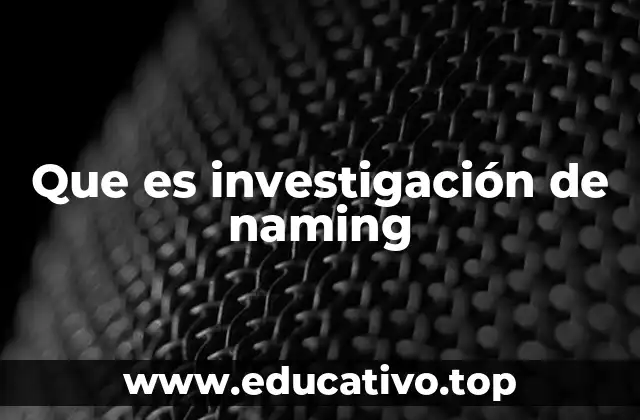 Que es investigación de naming