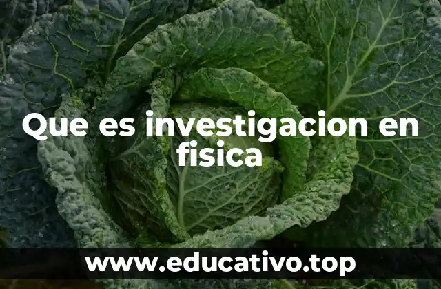 Que es investigacion en fisica