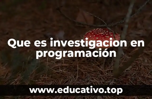 Que es investigacion en programación