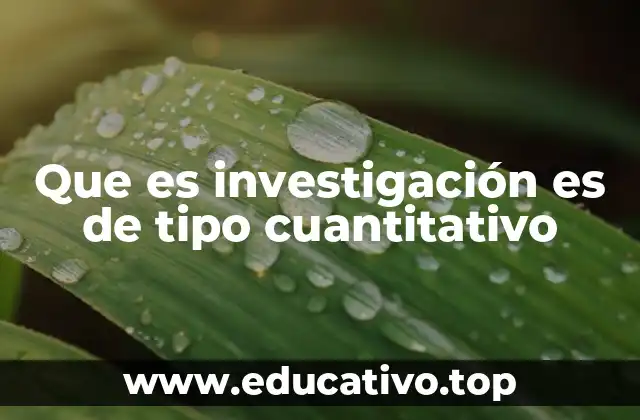 Que es investigación es de tipo cuantitativo