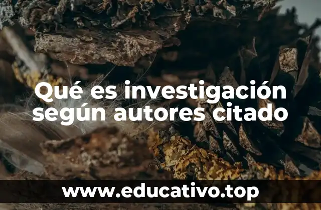 La importancia de la investigación en la formación académica