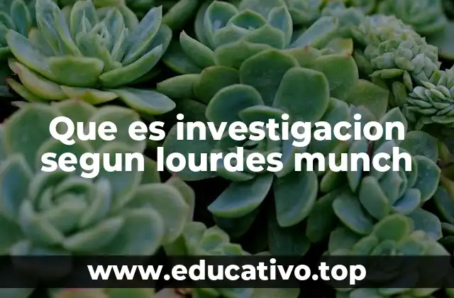 Que es investigacion segun lourdes munch