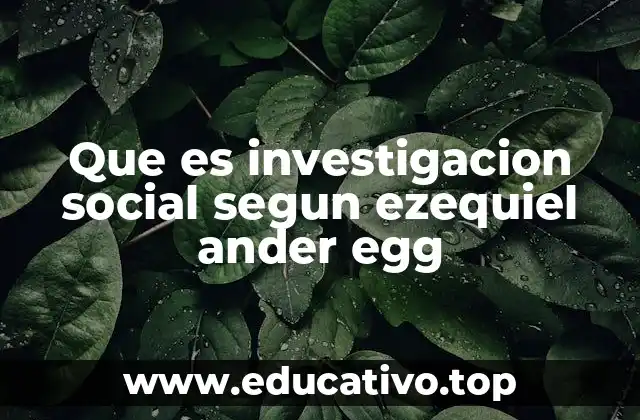 Que es investigacion social segun ezequiel ander egg