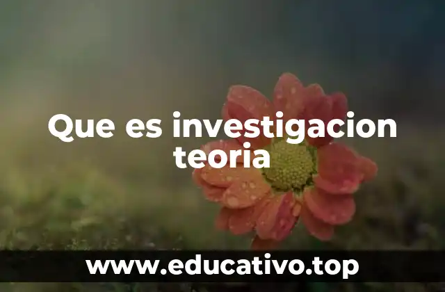 Que es investigacion teoria