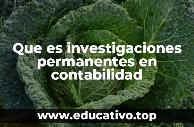 Que es investigaciones permanentes en contabilidad
