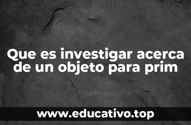 Que es investigar acerca de un objeto para prim