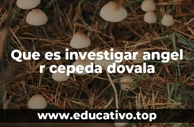 Que es investigar angel r cepeda dovala