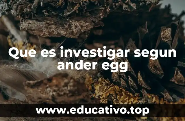 El proceso de investigación según Ander Egg