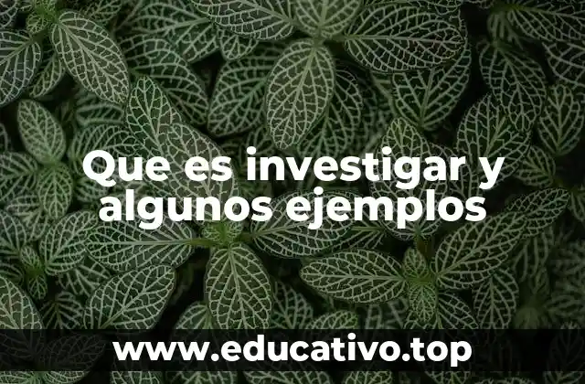 El rol de la investigación en la toma de decisiones