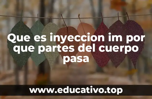 Que es inyeccion im por que partes del cuerpo pasa