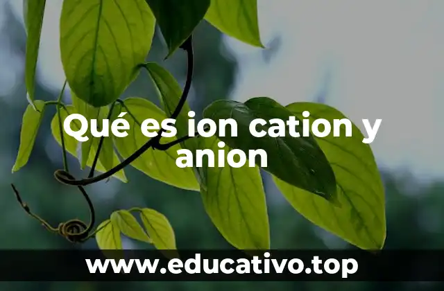 Qué es ion cation y anion