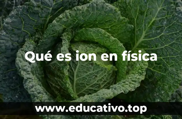 Qué es ion en física