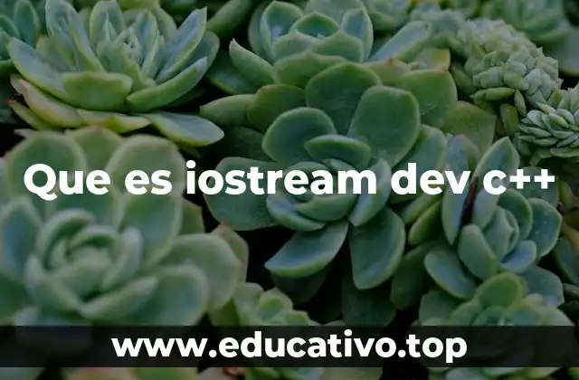 Que es iostream dev c++