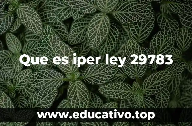 Que es iper ley 29783