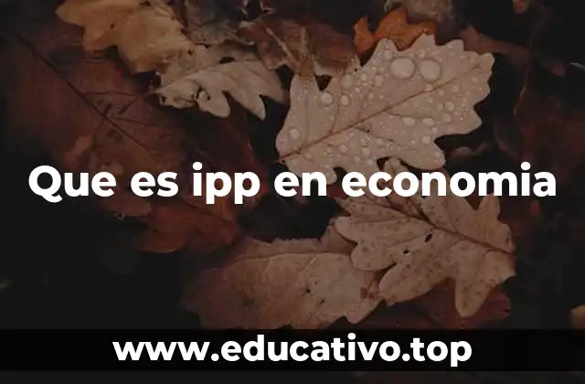 Que es ipp en economia