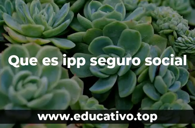 Que es ipp seguro social