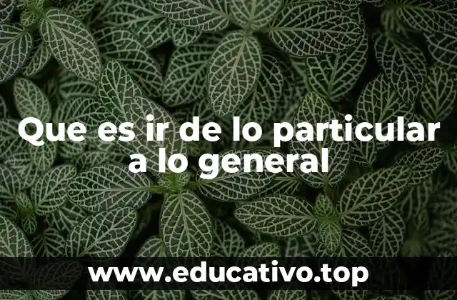 Que es ir de lo particular a lo general