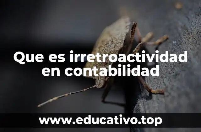 Que es irretroactividad en contabilidad