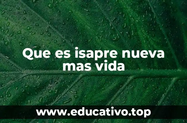 Que es isapre nueva mas vida