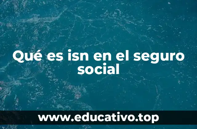 Qué es isn en el seguro social
