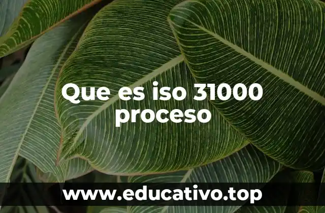 Que es iso 31000 proceso