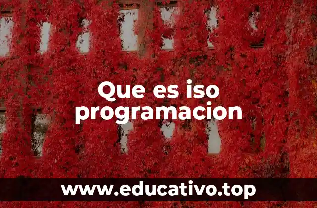 Que es iso programacion
