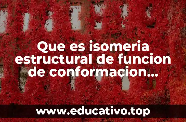 Que es isomeria estructural de funcion de conformacion geometrica