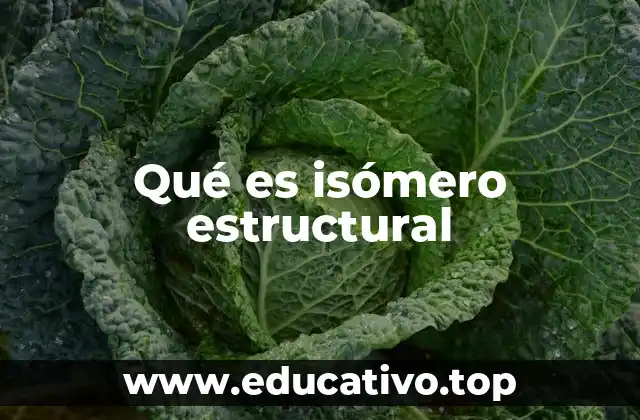Qué es isómero estructural