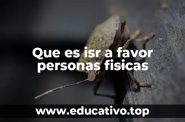 Que es isr a favor personas fisicas