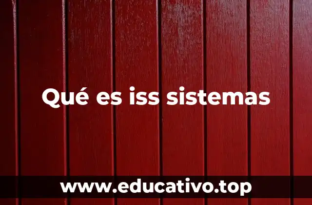 Qué es iss sistemas
