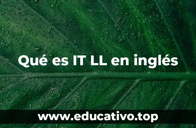 El uso de IT y LL por separado