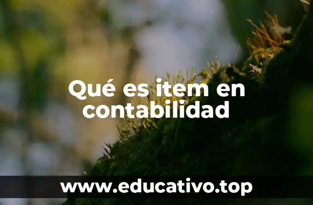 Qué es item en contabilidad