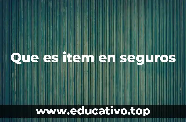 Que es item en seguros