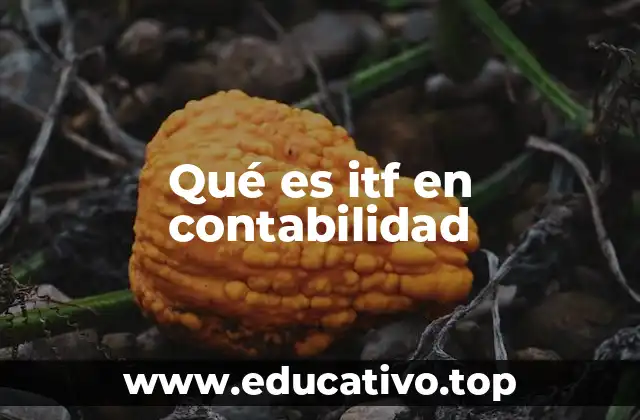 Qué es itf en contabilidad