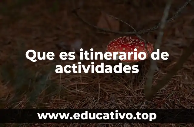 Que es itinerario de actividades