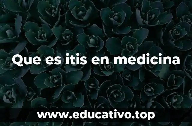 Que es itis en medicina