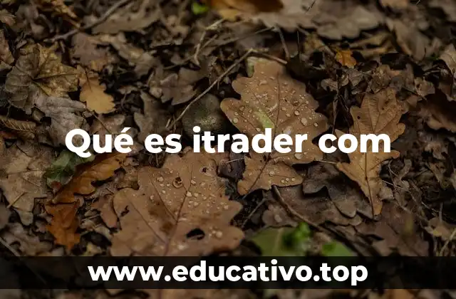 iTraDer.com: una mirada desde el usuario final