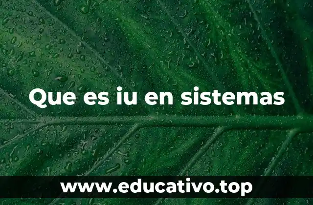 Que es iu en sistemas