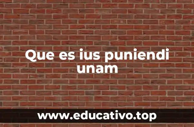 Que es ius puniendi unam