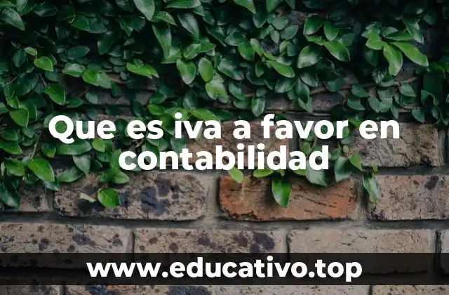 Que es iva a favor en contabilidad