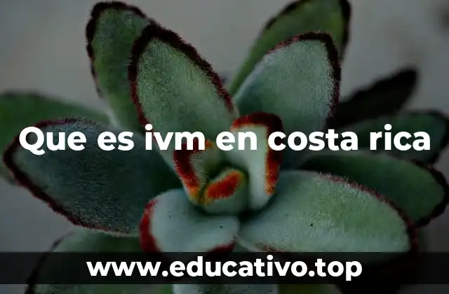 Que es ivm en costa rica