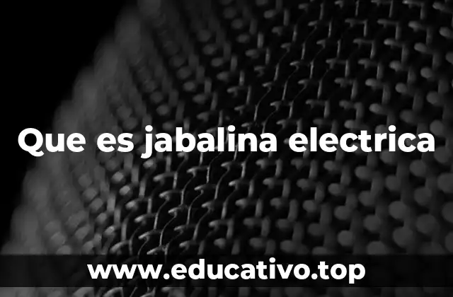 Que es jabalina electrica