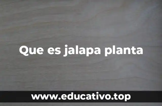 Que es jalapa planta