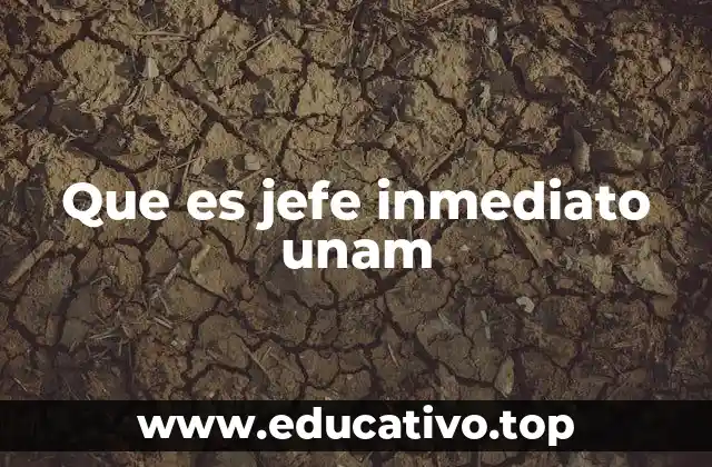 Que es jefe inmediato unam