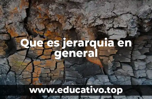La importancia de la jerarquía en la organización