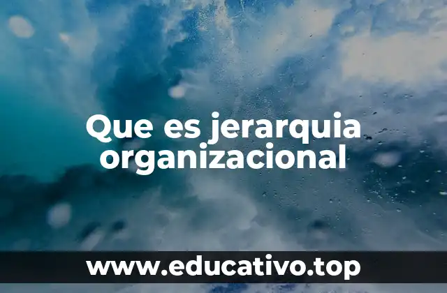 Que es jerarquia organizacional