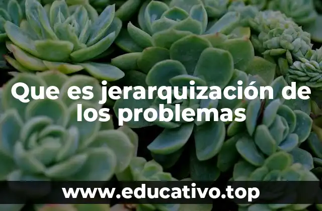 Que es jerarquización de los problemas