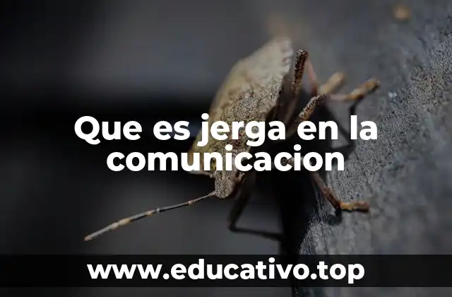 Que es jerga en la comunicacion