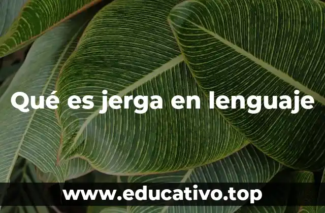 Qué es jerga en lenguaje